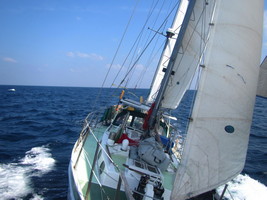 Остро. Четыре белых паруса.